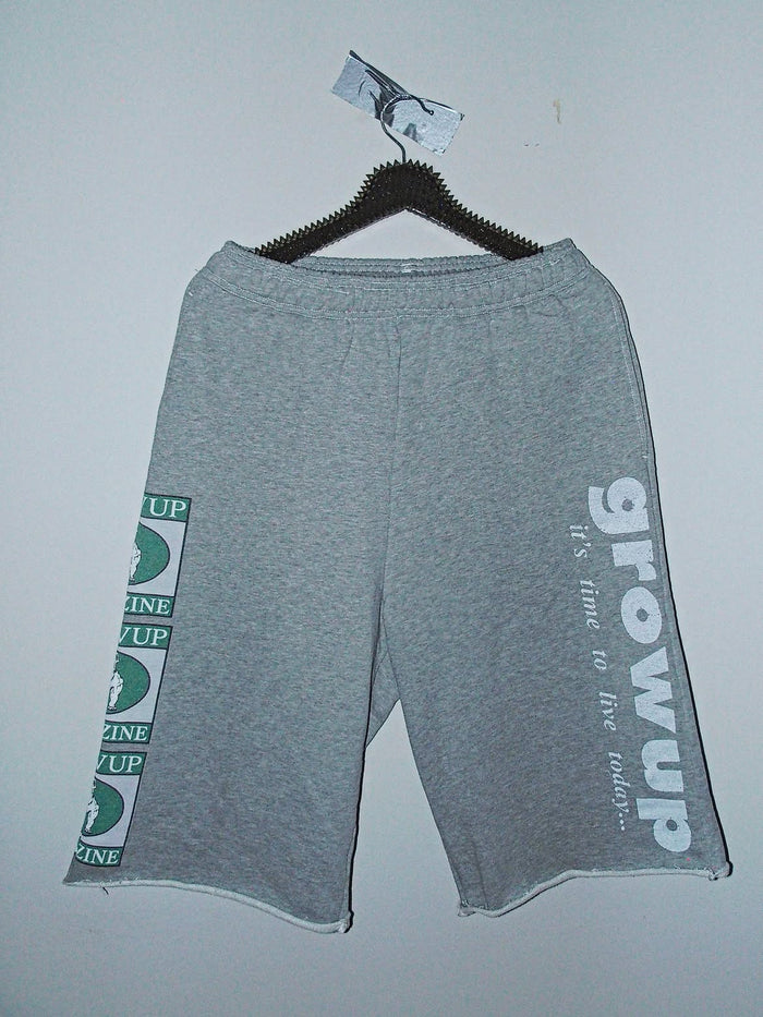 BULLY SURF SHORTS